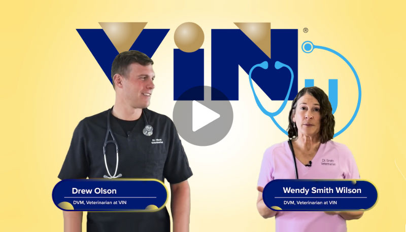 VIN U Video Banner
