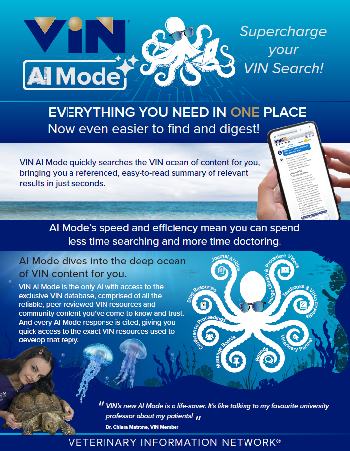 VIN AI Mode Flyer