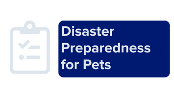 Disaster Preparedness Banner