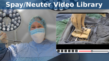 ASPCA Spay & Neuter Alliance Video Banner