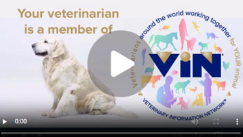 VIN Video Graphic