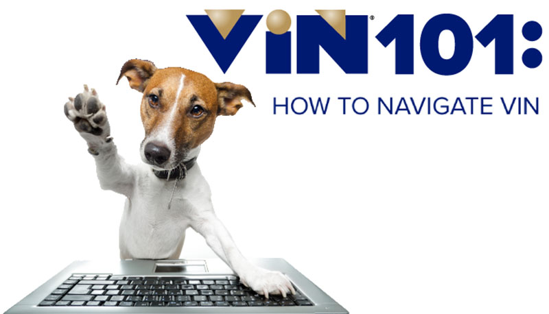 VIN 101 Banner