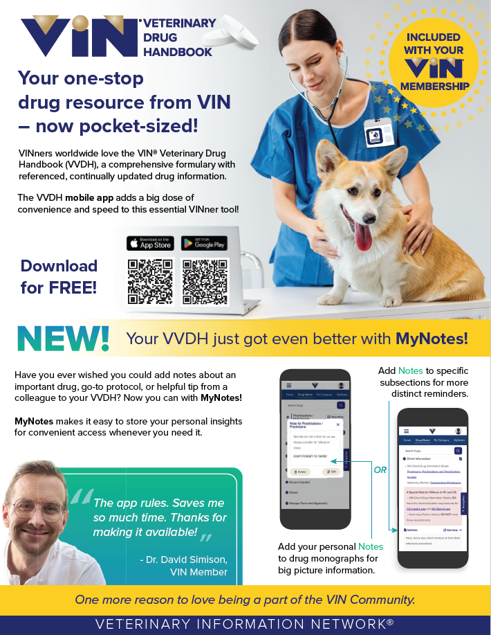 VVDH App Flyer