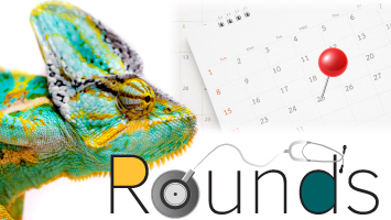 Rounds Webinars (Free CE) Banner