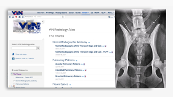 Radiology Atlas Banner