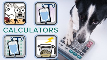 VIN Calculators Banner