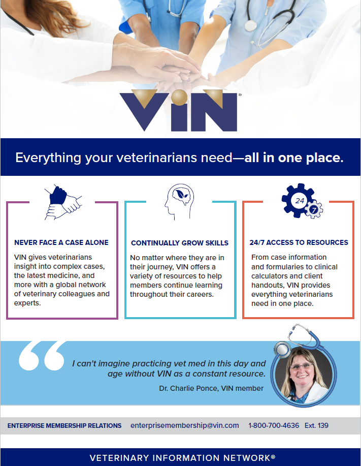 Everything Your Veterinarians Need Flyer