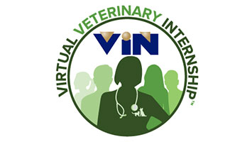 VVI Banner