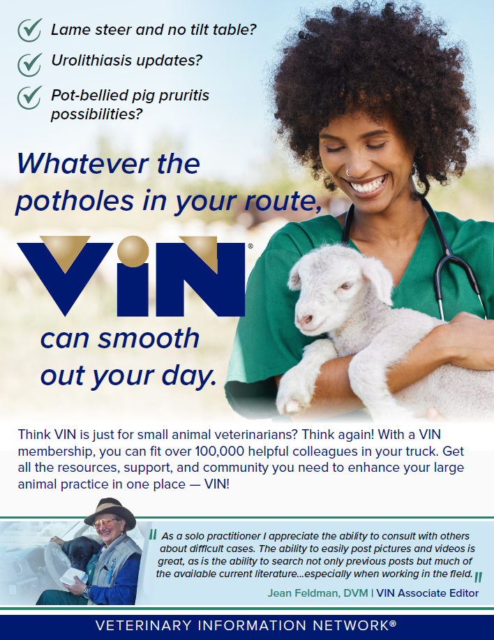 Large Animal Practitioners Flyer