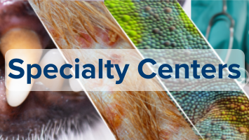 Specialty Centers Banner