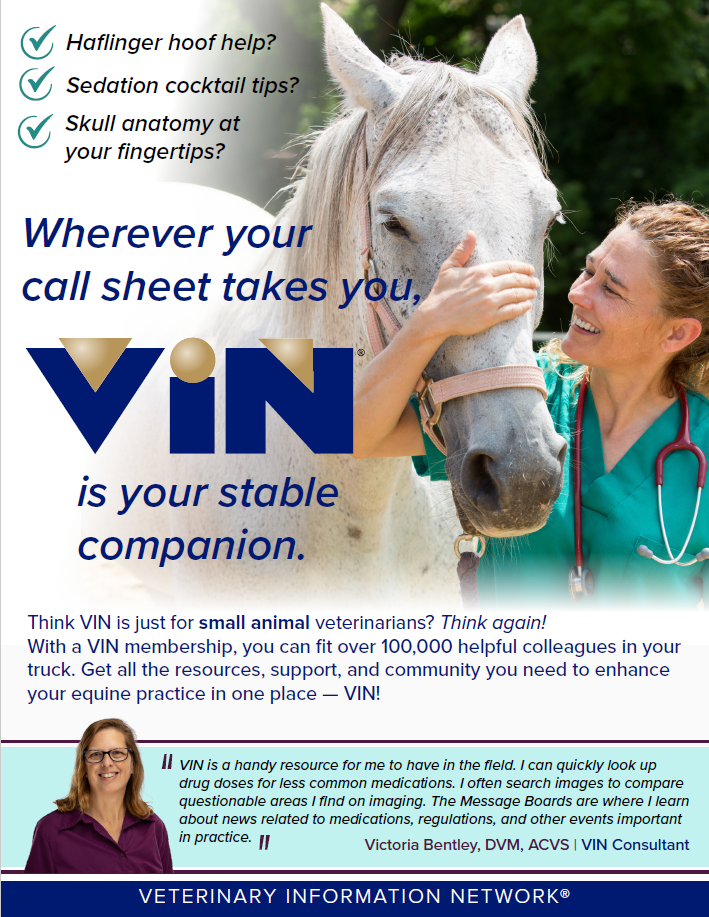 Equine Practitioners Flyer